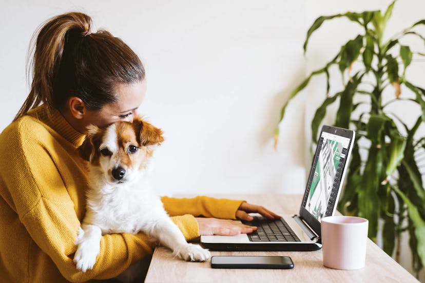 Increase the employee experience with a Dog Friendly office
Add an extra benefit to your employees that make your business stand out against competition