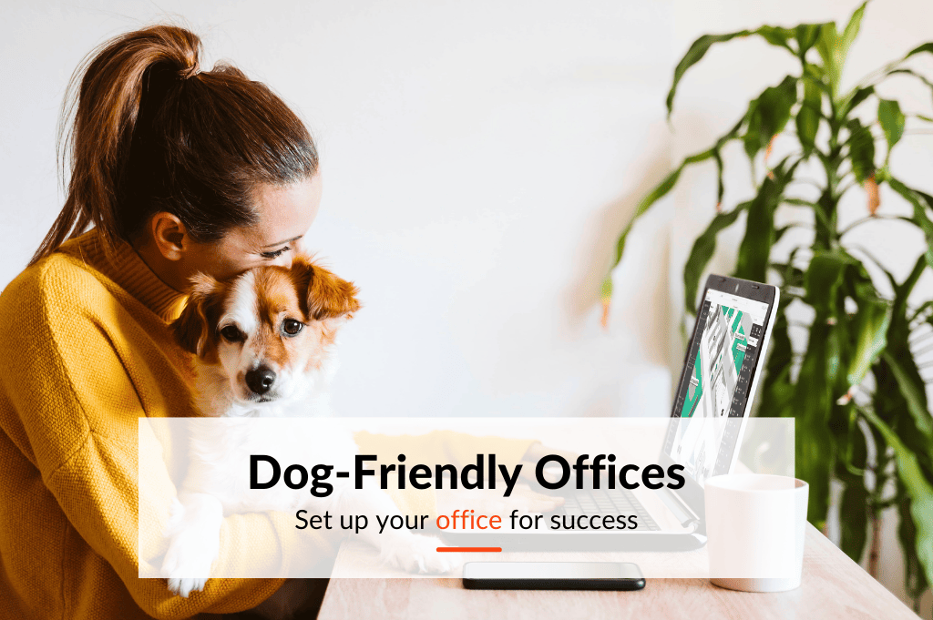 One of the benefits of dog-friendly offices is the reduced stress and that workers are more likely to collaborate and be happy at work.